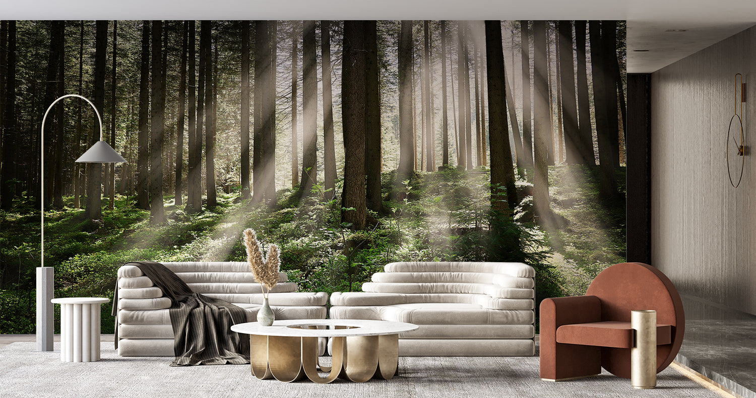 Non-Woven Forest Wallpaper | Murals Wallpaper