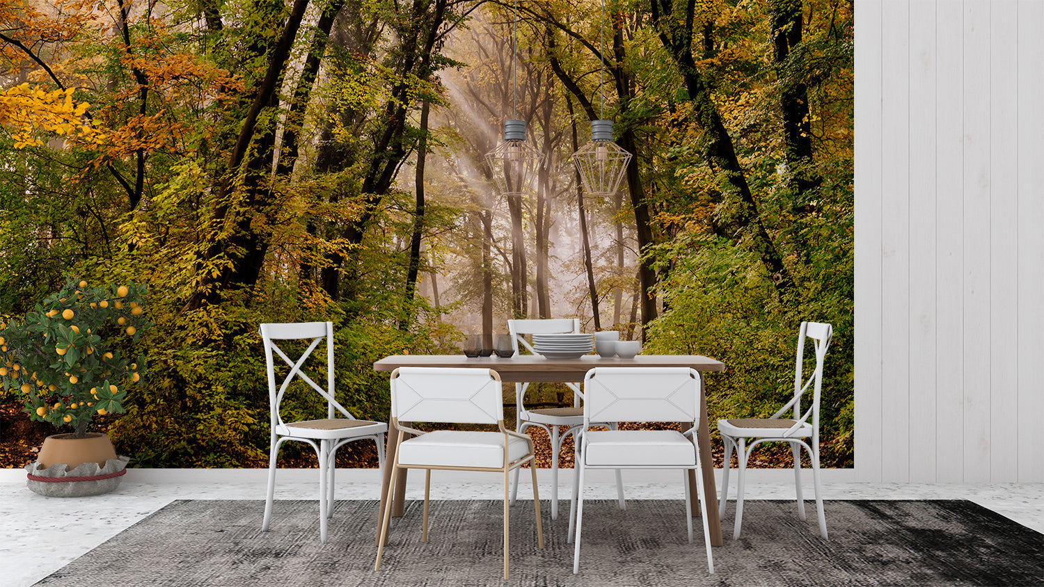 Wald Foto Tapete | Murals Tapete