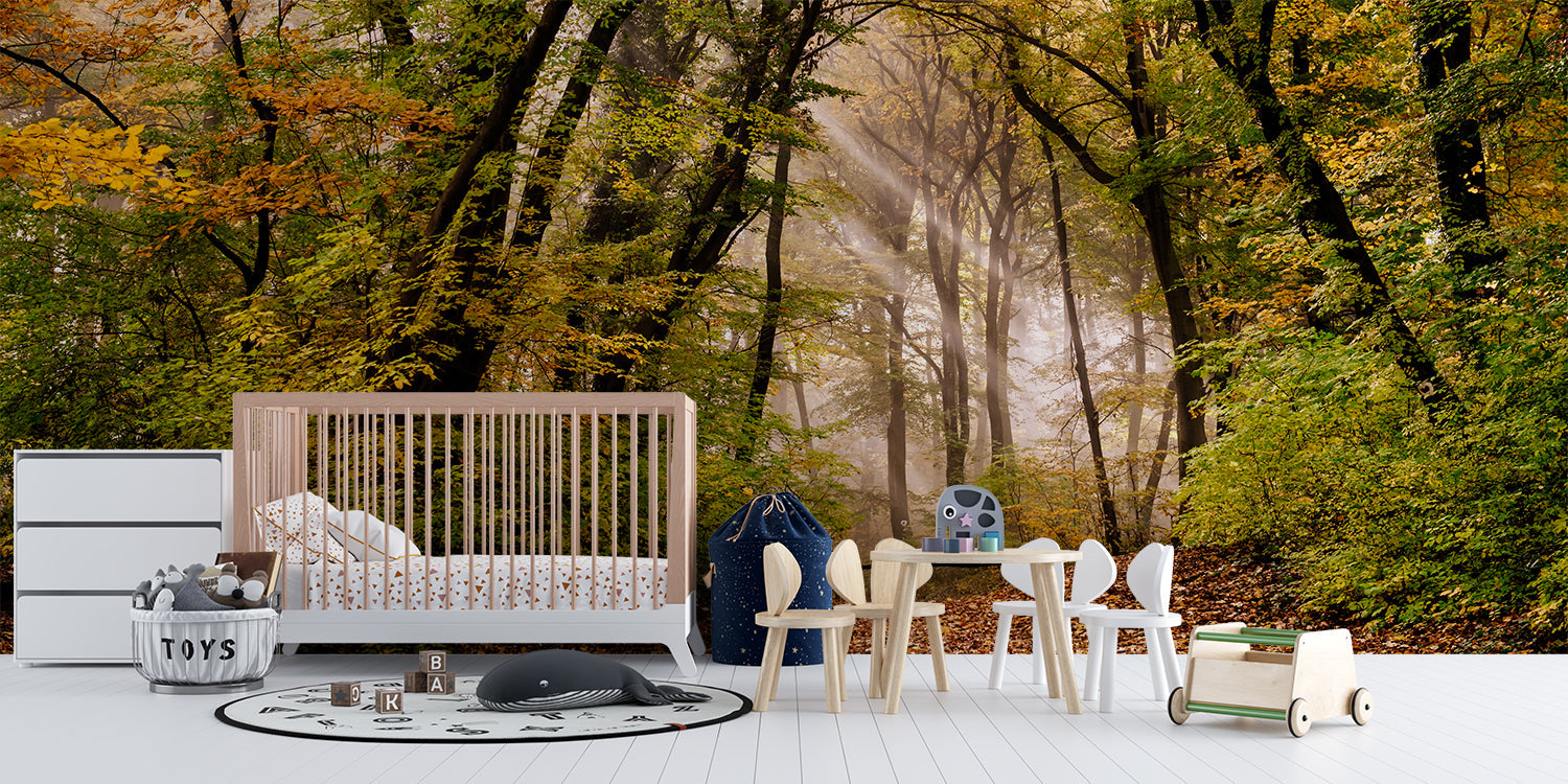 Forest Photo Wallpaper | Murals Wallpaper