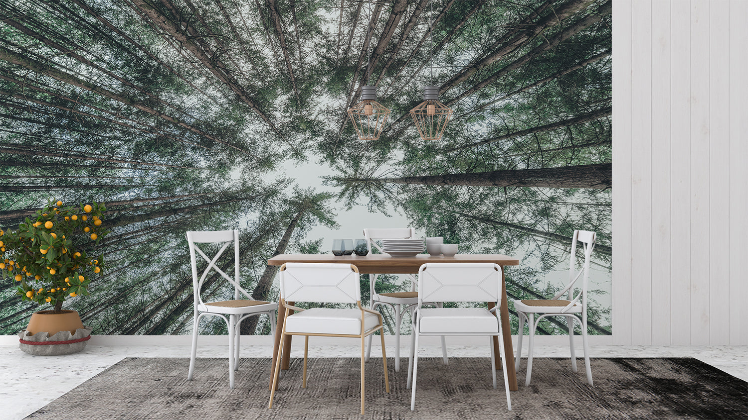 Round Forest Wallpaper | Murals Wallpaper