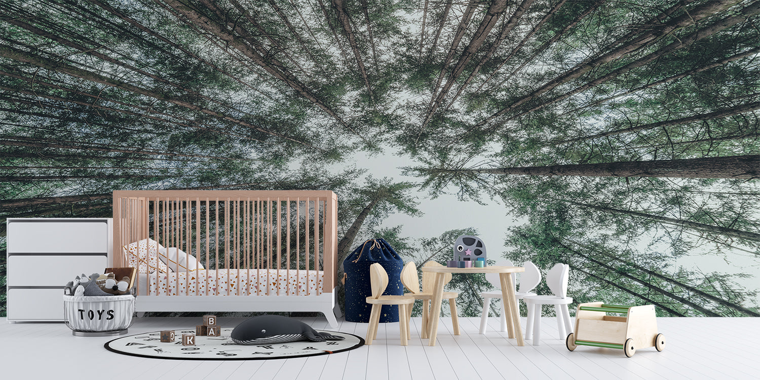 Round Forest Wallpaper | Murals Wallpaper