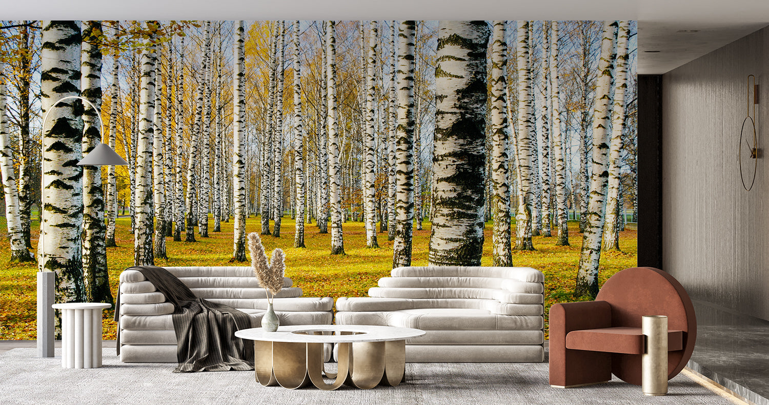 Forest 3D Wallpaper | Murals Wallpaper