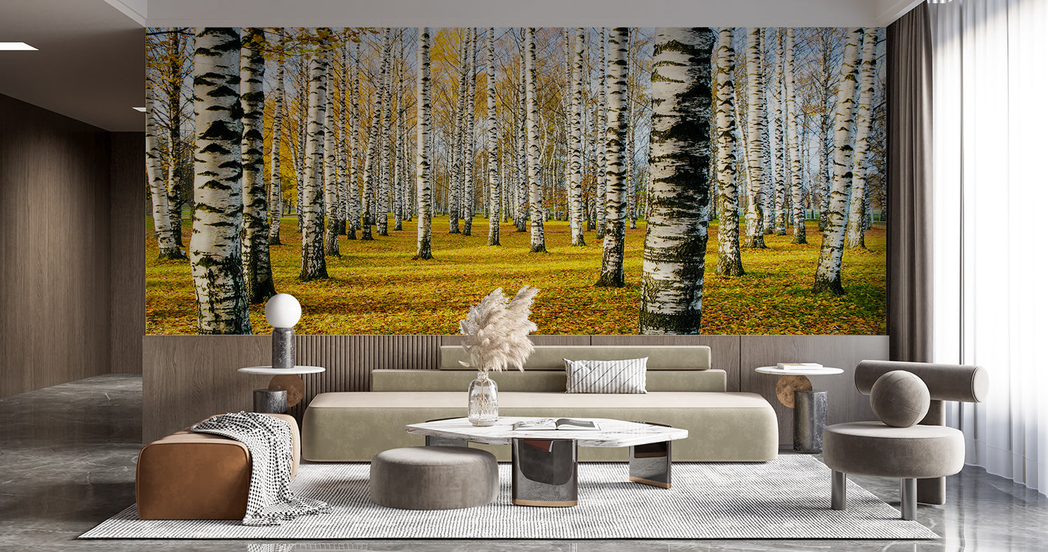 Forest 3D Wallpaper | Murals Wallpaper