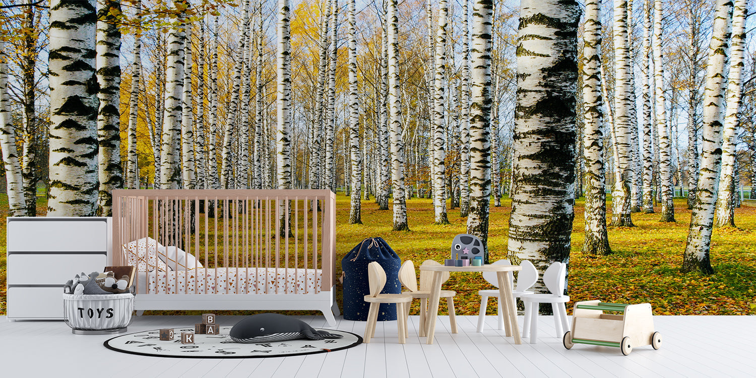 Forest 3D Wallpaper | Murals Wallpaper