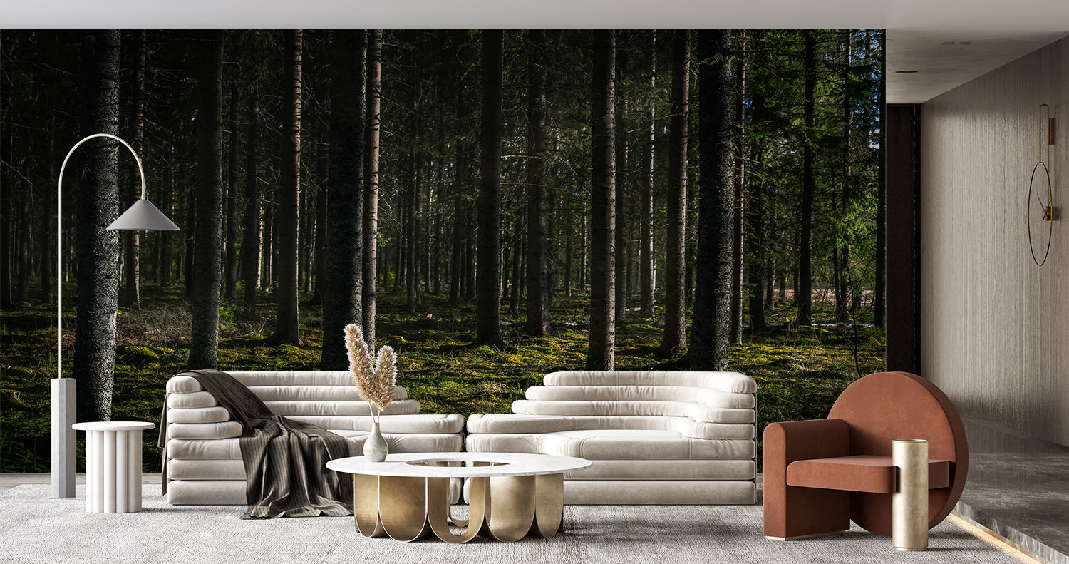 XXL Forest Wallpaper | Murals Wallpaper