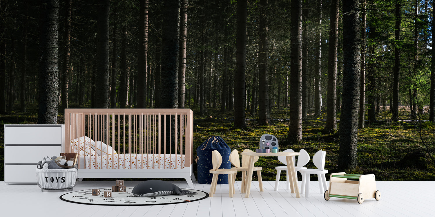 XXL Forest Wallpaper | Murals Wallpaper