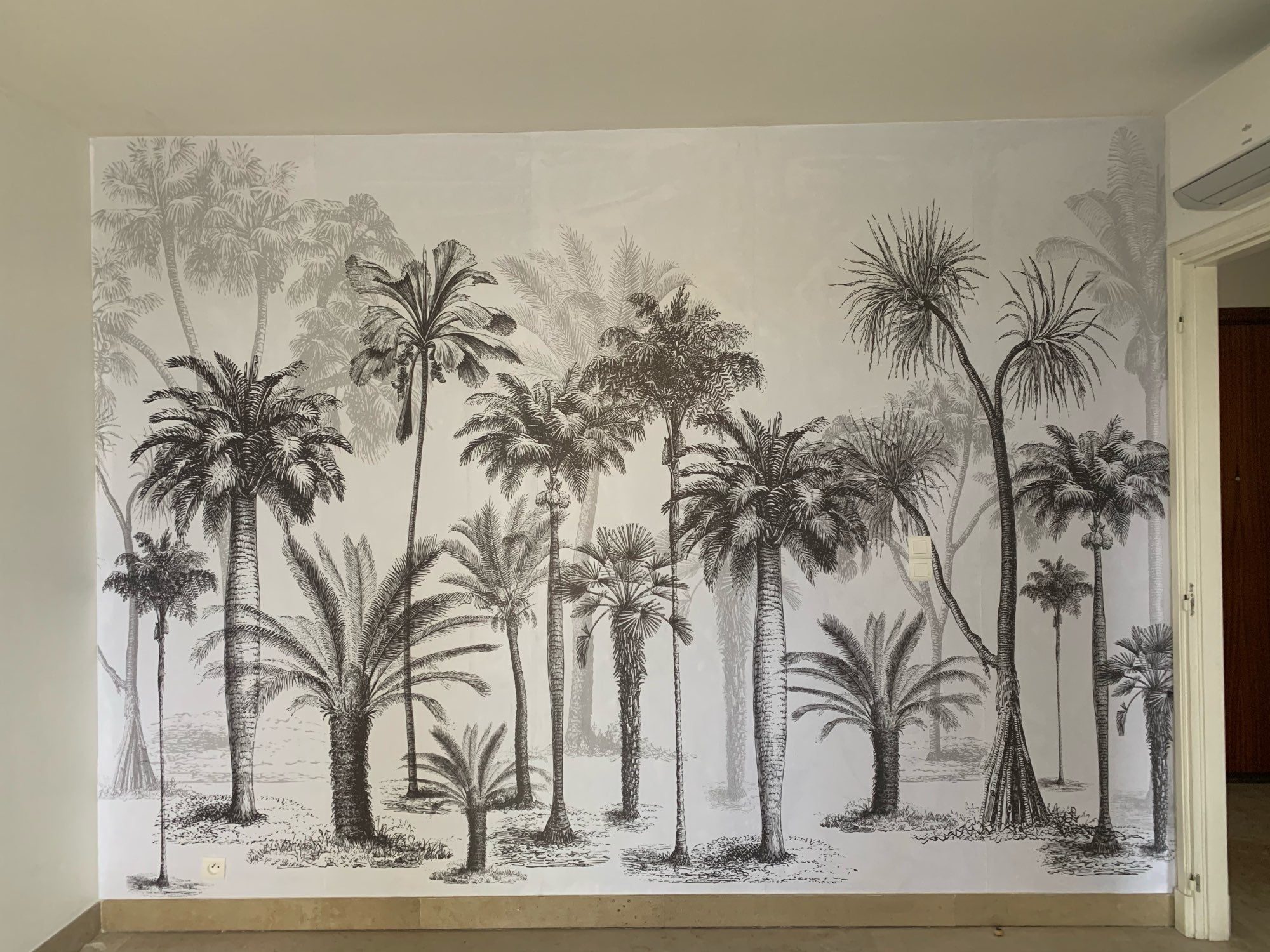 Black and White Palm Wallpaper | Murals Wallpaper