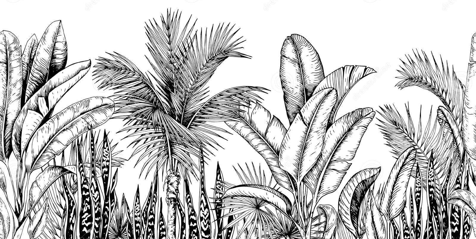 Mural Black and White Botanical Wallpaper