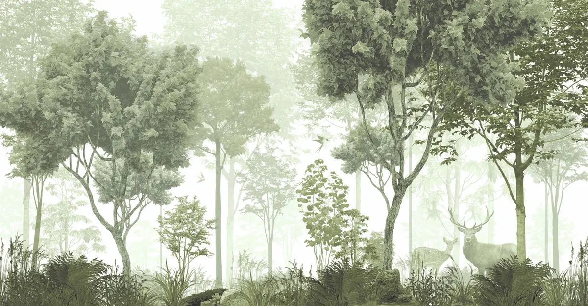 Misty Birch Forest Nature Mural Wallpaper