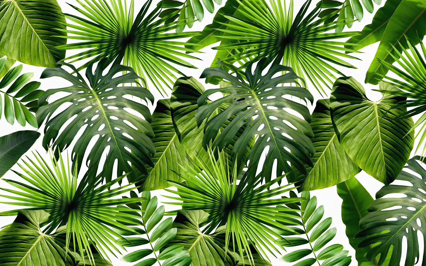 Mural Green Foliage Wallpaper on a White Background