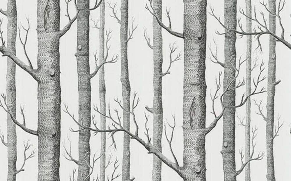 Mural Black and White Birch Wallpaper