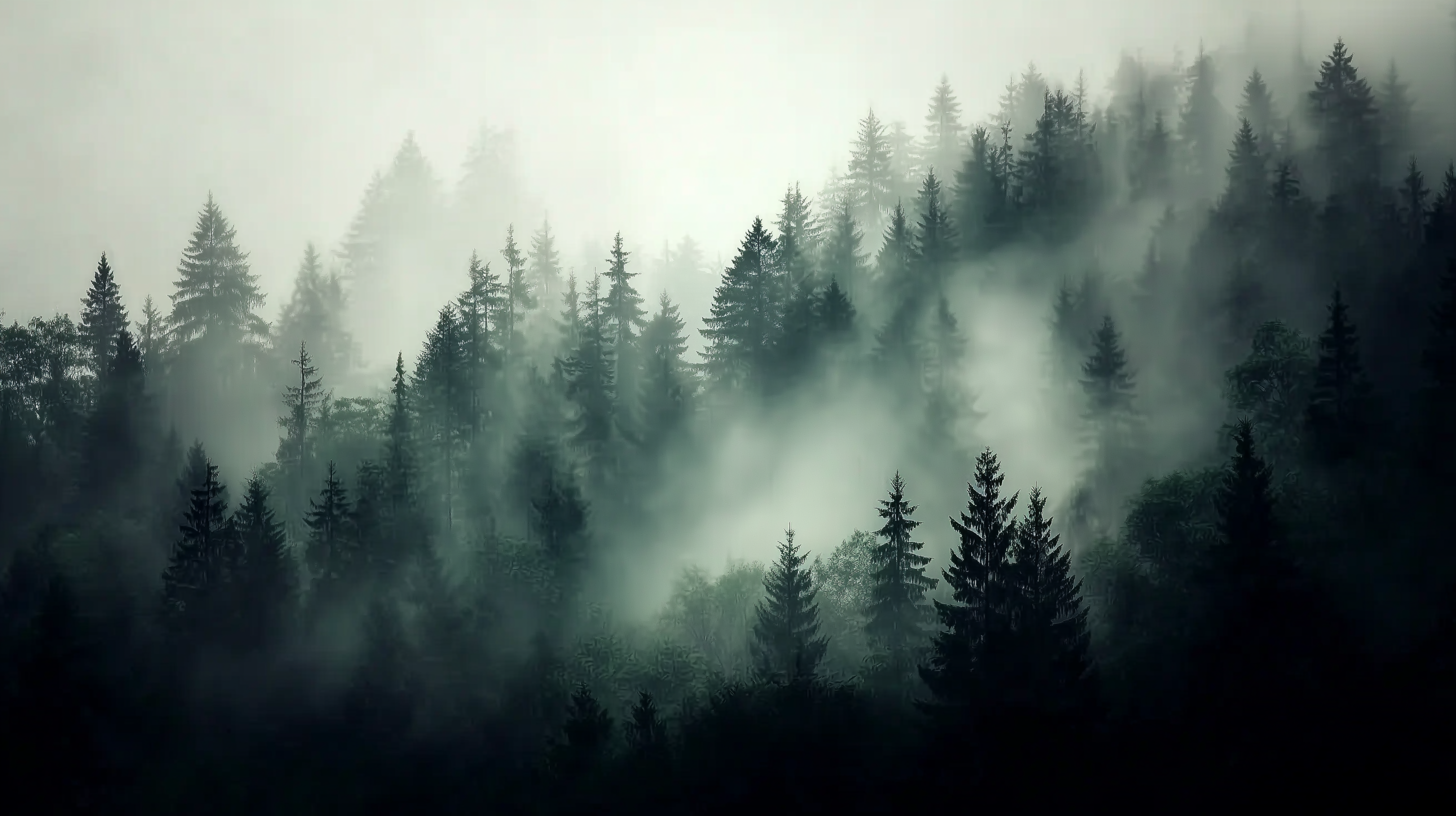Dark Moody Fog Forest Mural Wallpaper