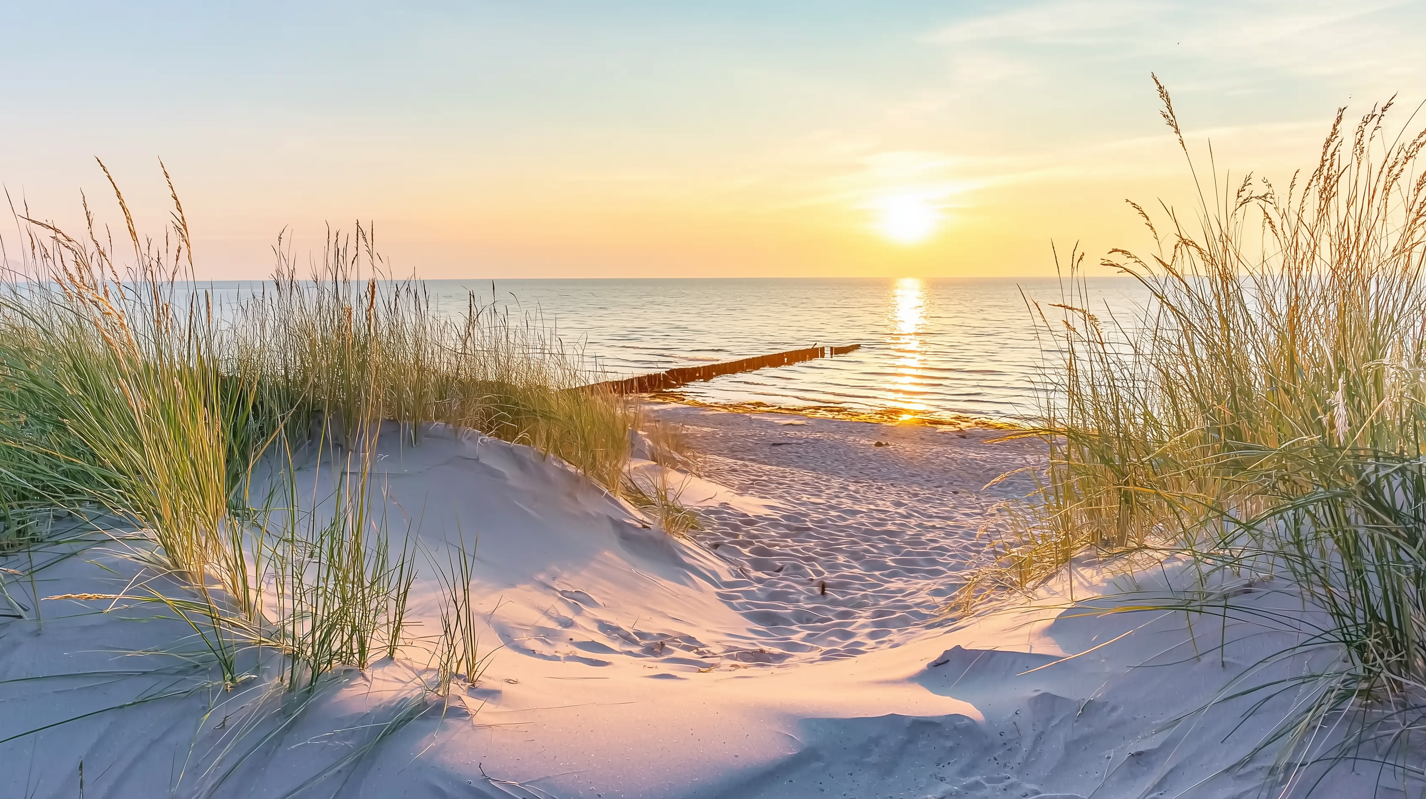 Sunset Beach Dunes Landscape Mural Wallpaper