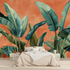 Terracotta Wallpaper with Banana Leaves | Murals Wallpaper