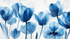 Blue Tulip Wallpaper | Murals Wallpaper