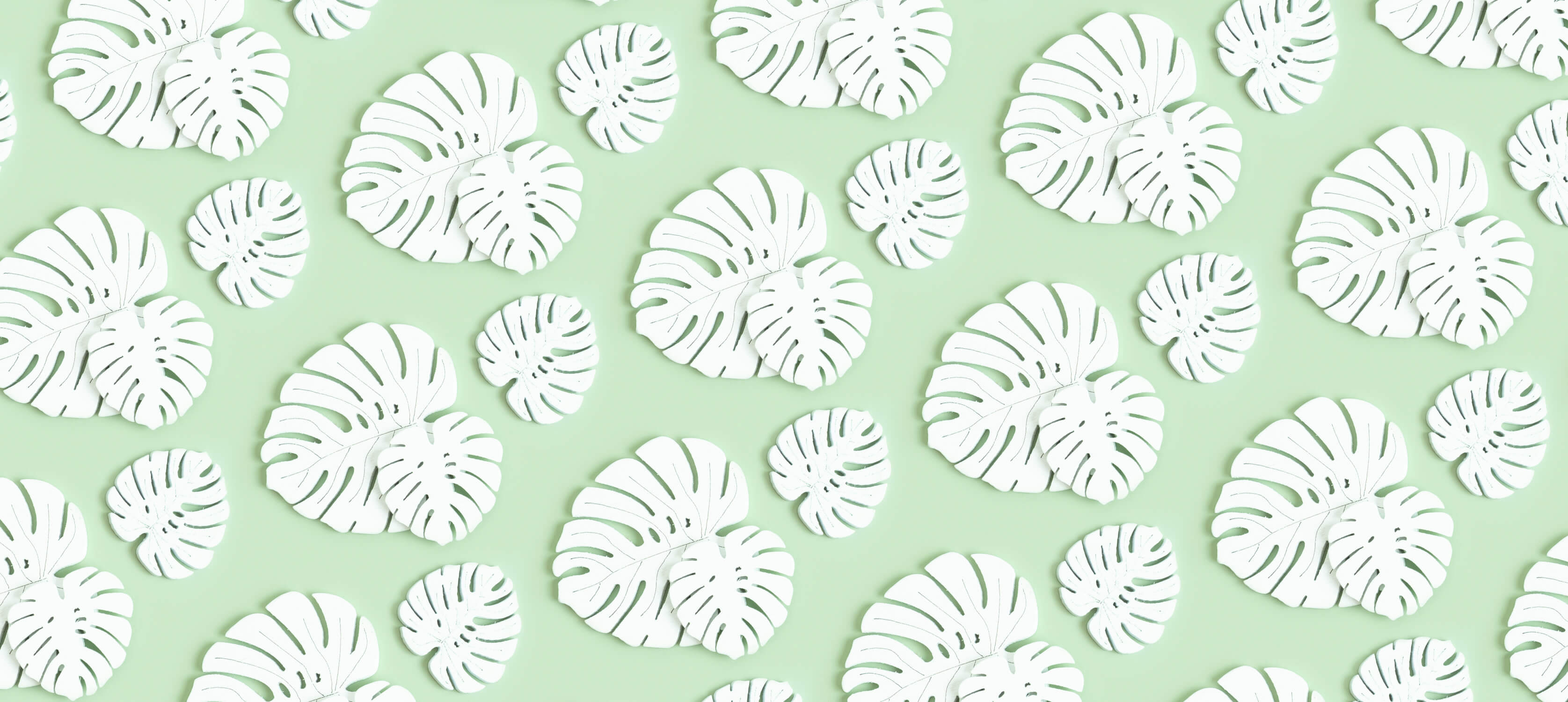 White and Green Wallpaper | Murals Wallpaper