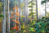 Mural Forest Wallpaper Poster