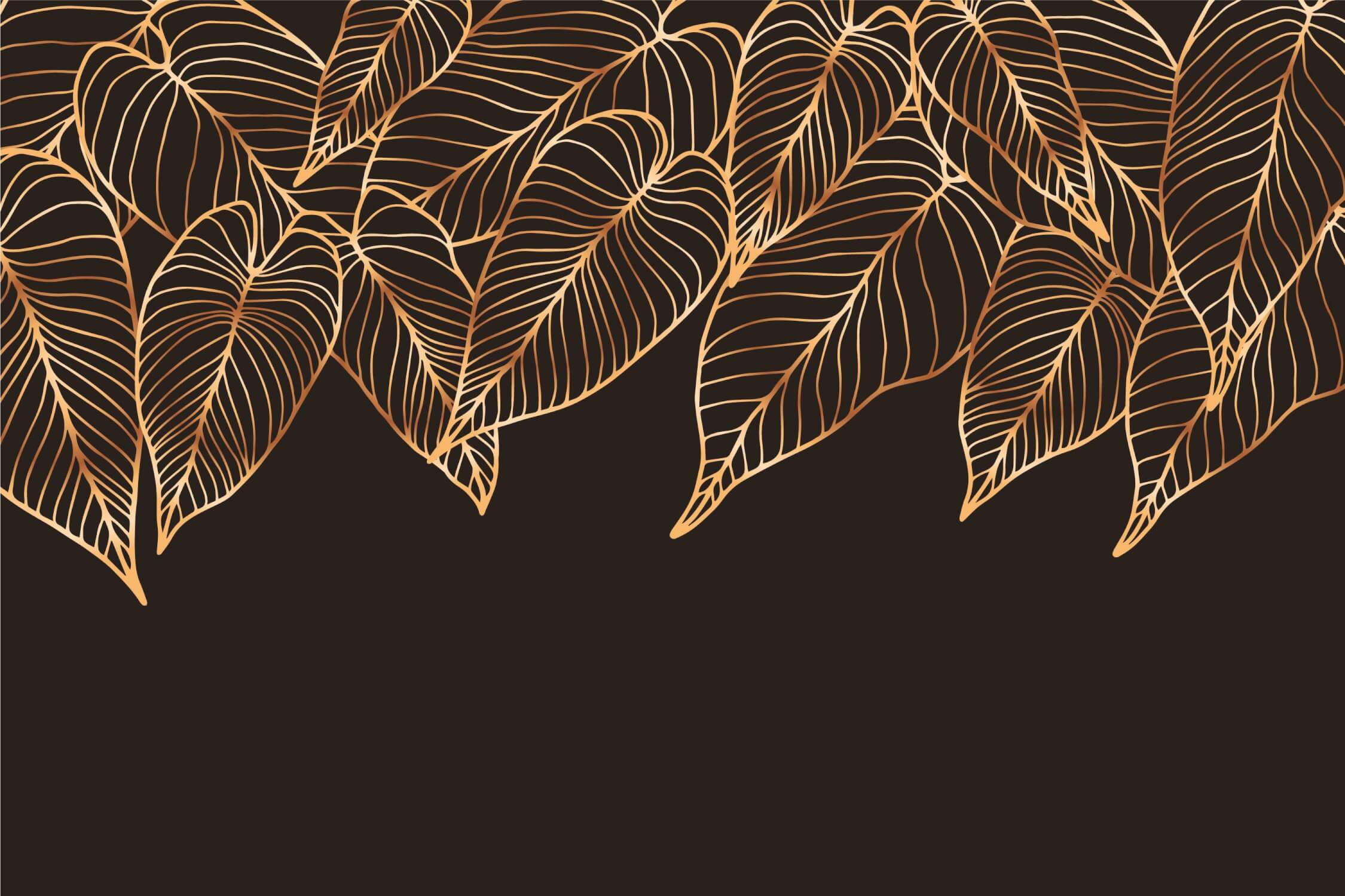 Black and Brown Wallpaper | Murals Wallpaper