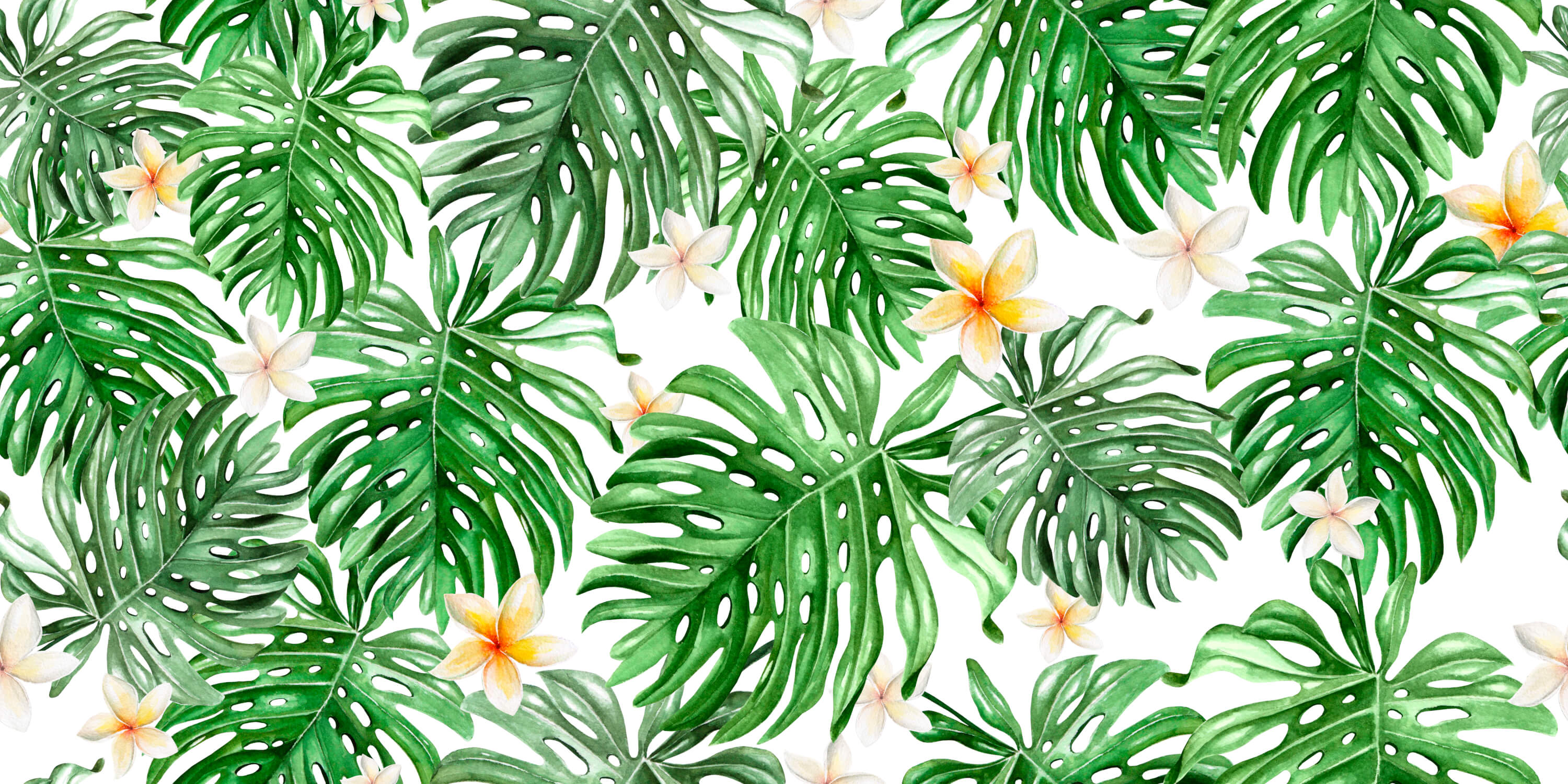 Green and White Leaf Wallpaper | Murals Wallpaper