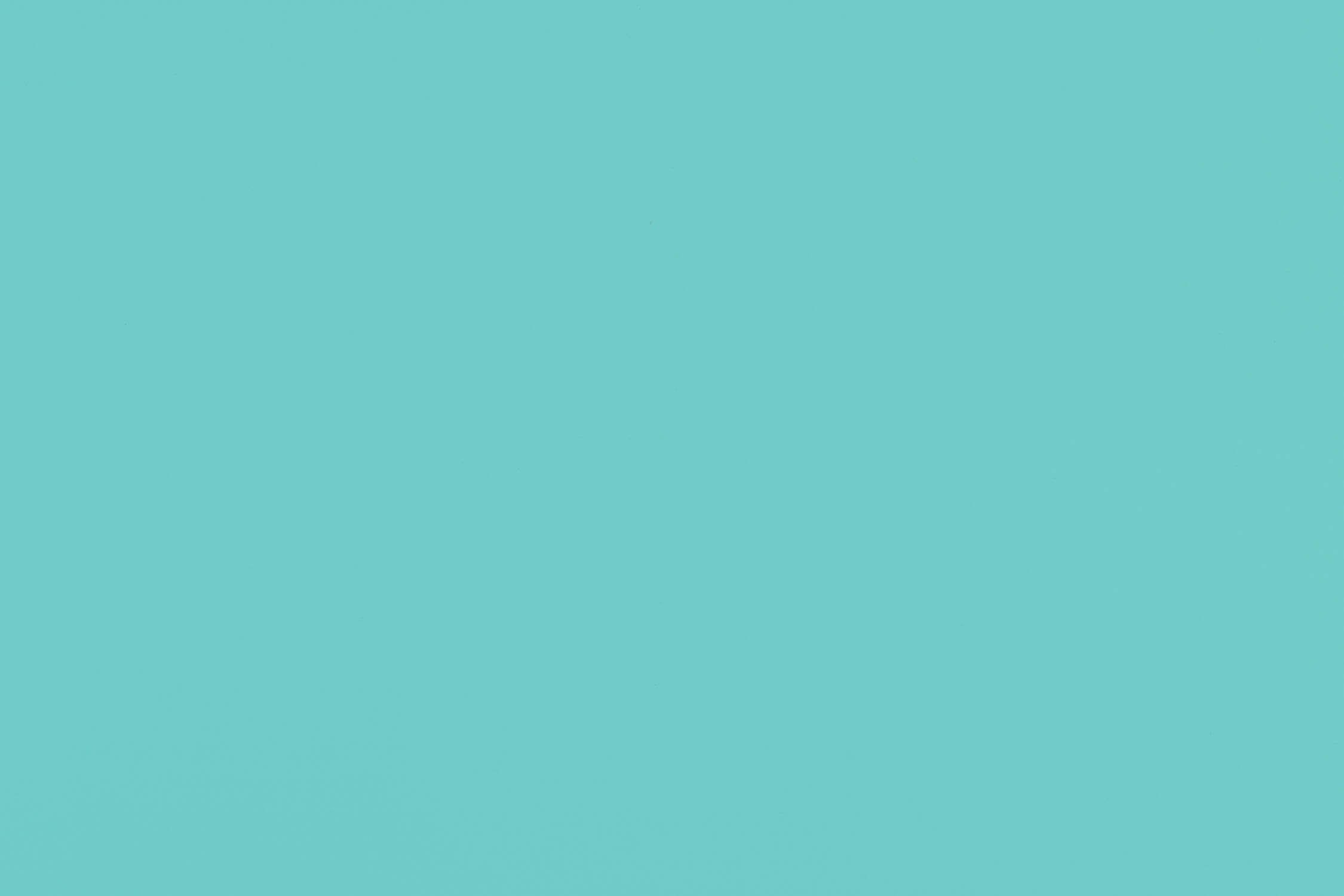 Mint Wallpaper | Murals Wallpaper