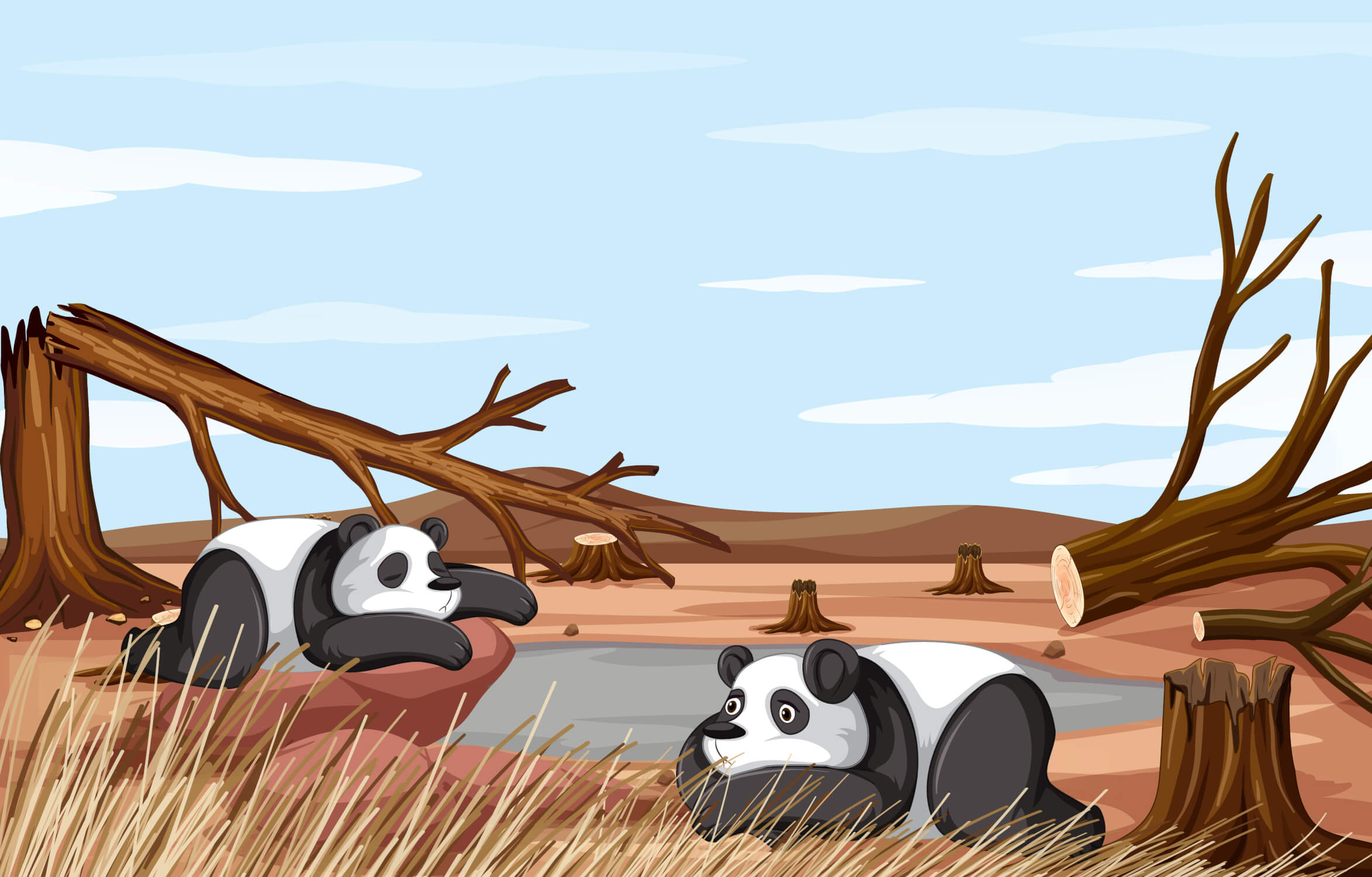 Children's Forest Design Wallpaper | Murals Wallpaper