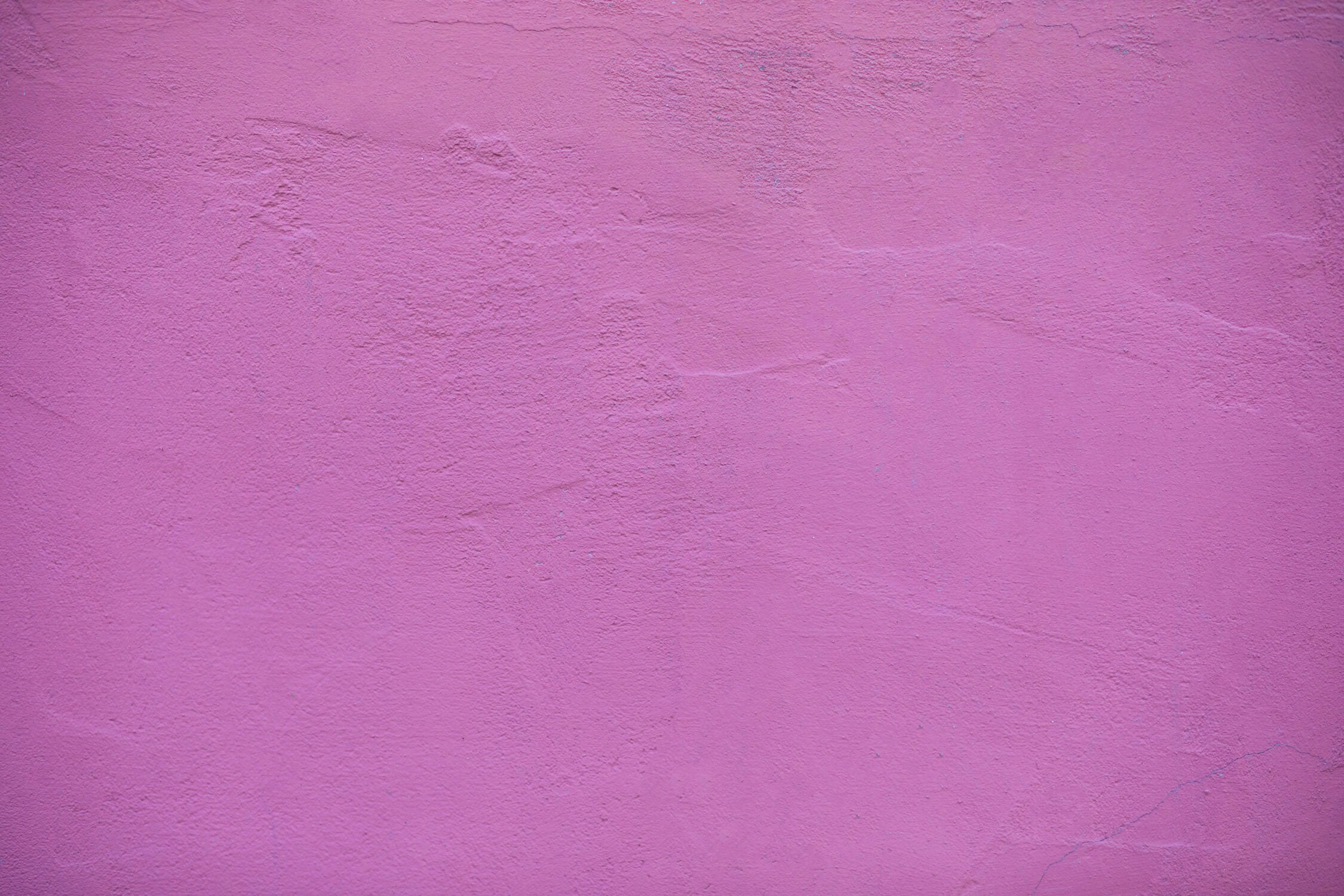 Purple Wallpaper | Murals Wallpaper