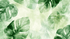 Watercolor Abstract Leaves Wallpaper | Murals Wallpaper