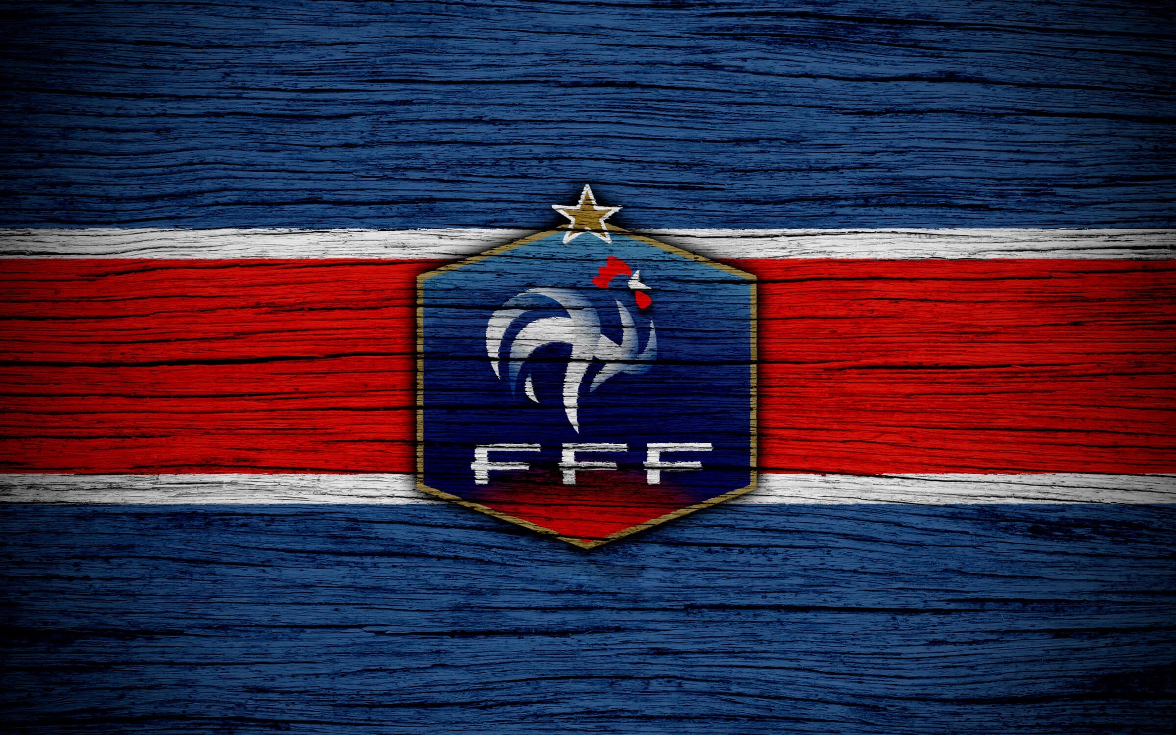 France National Team Wallpaper | Murals Wallpaper