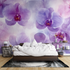 Watercolor Delicate Orchids Wallpaper | Murals Wallpaper