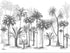 Black and White Palm Wallpaper | Murals Wallpaper