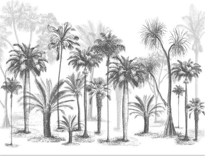 Black and White Palm Wallpaper | Murals Wallpaper