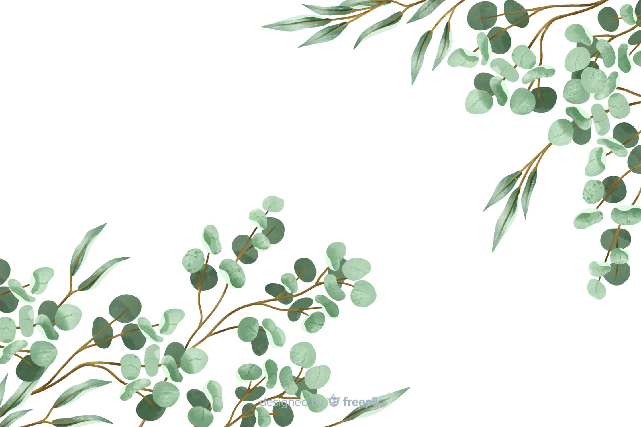 Eucalyptus Green Wallpaper for Bedroom | Murals Wallpaper