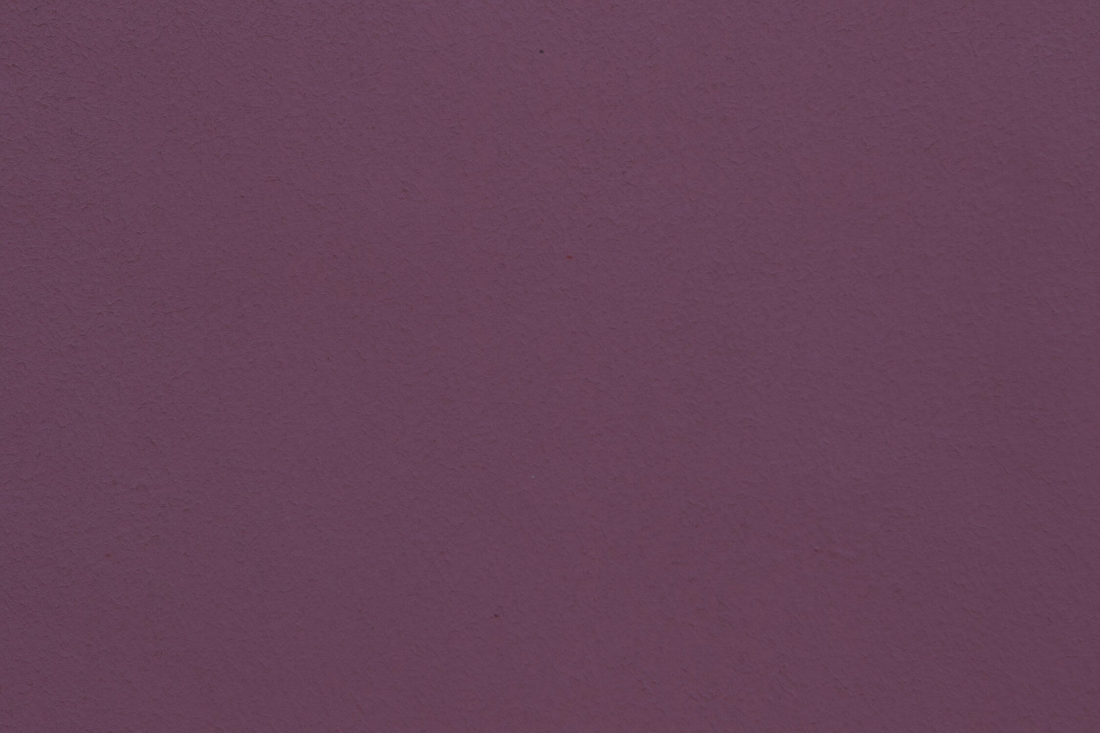 Solid Purple Wallpaper | Murals Wallpaper