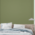 Olive Wallpaper | Murals Wallpaper