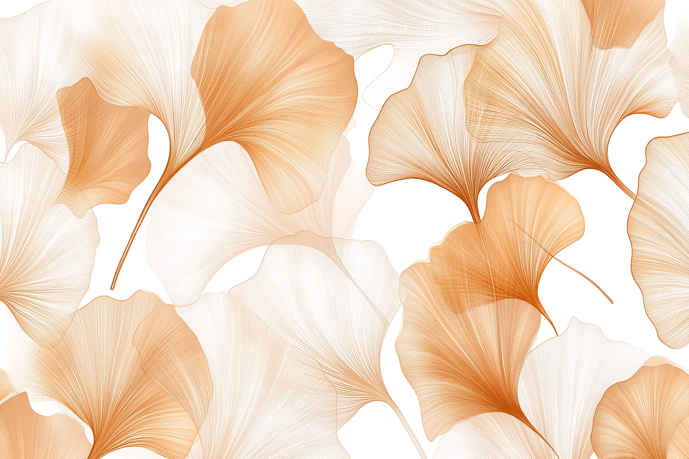 Orange and White Wallpaper | Murals Wallpaper