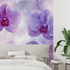 Watercolor Delicate Orchids Wallpaper | Murals Wallpaper