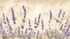 Watercolor Lavender Field Wallpaper | Murals Wallpaper