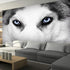 Black and White Wallpaper Husky | Murals Wallpaper