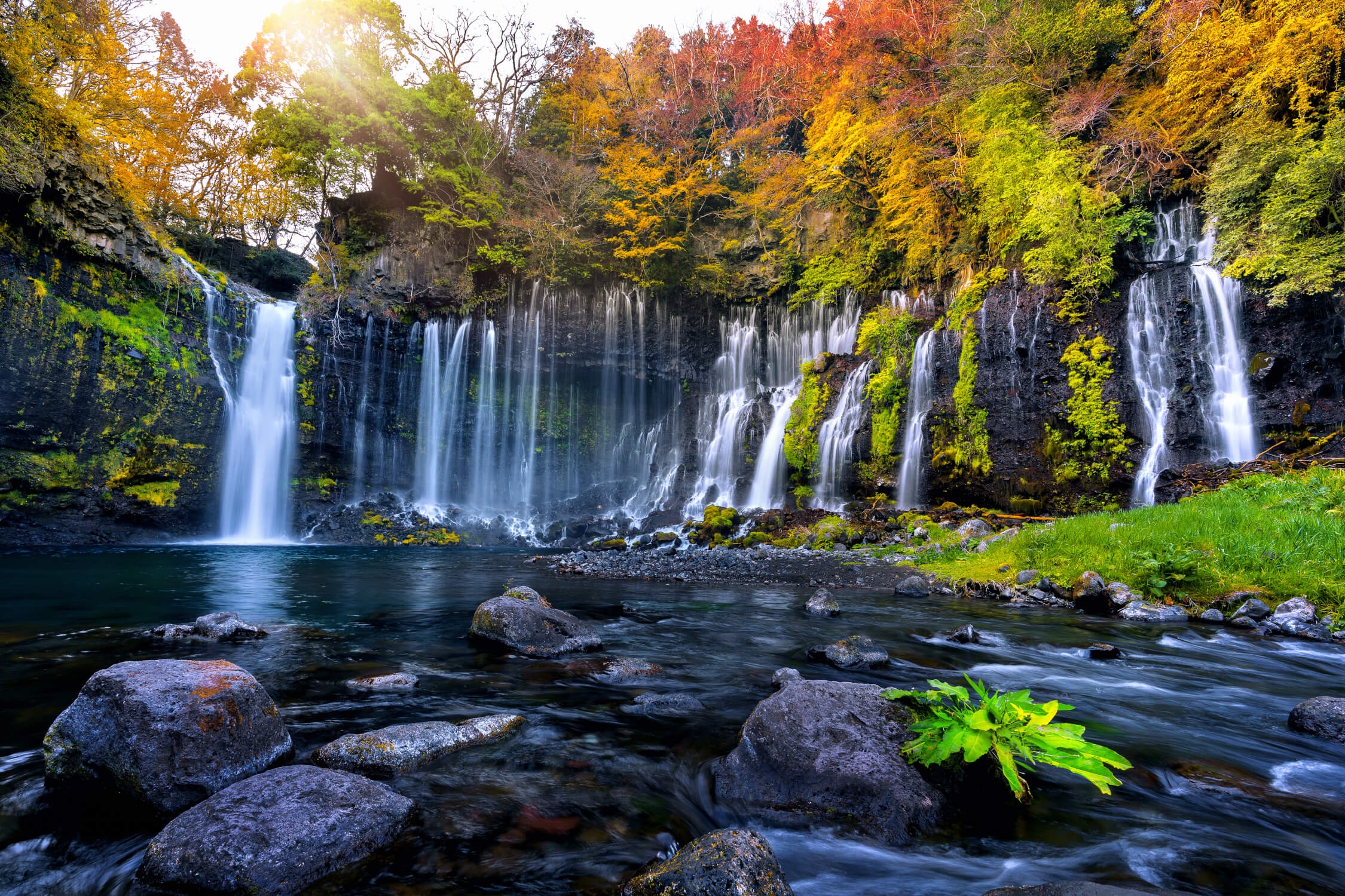 Winter Waterfall Wallpaper | Murals Wallpaper