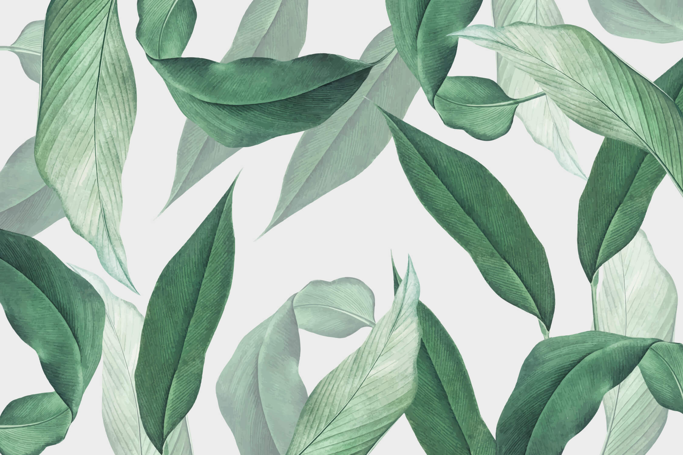 Leaf Green Wallpaper | Murals Wallpaper