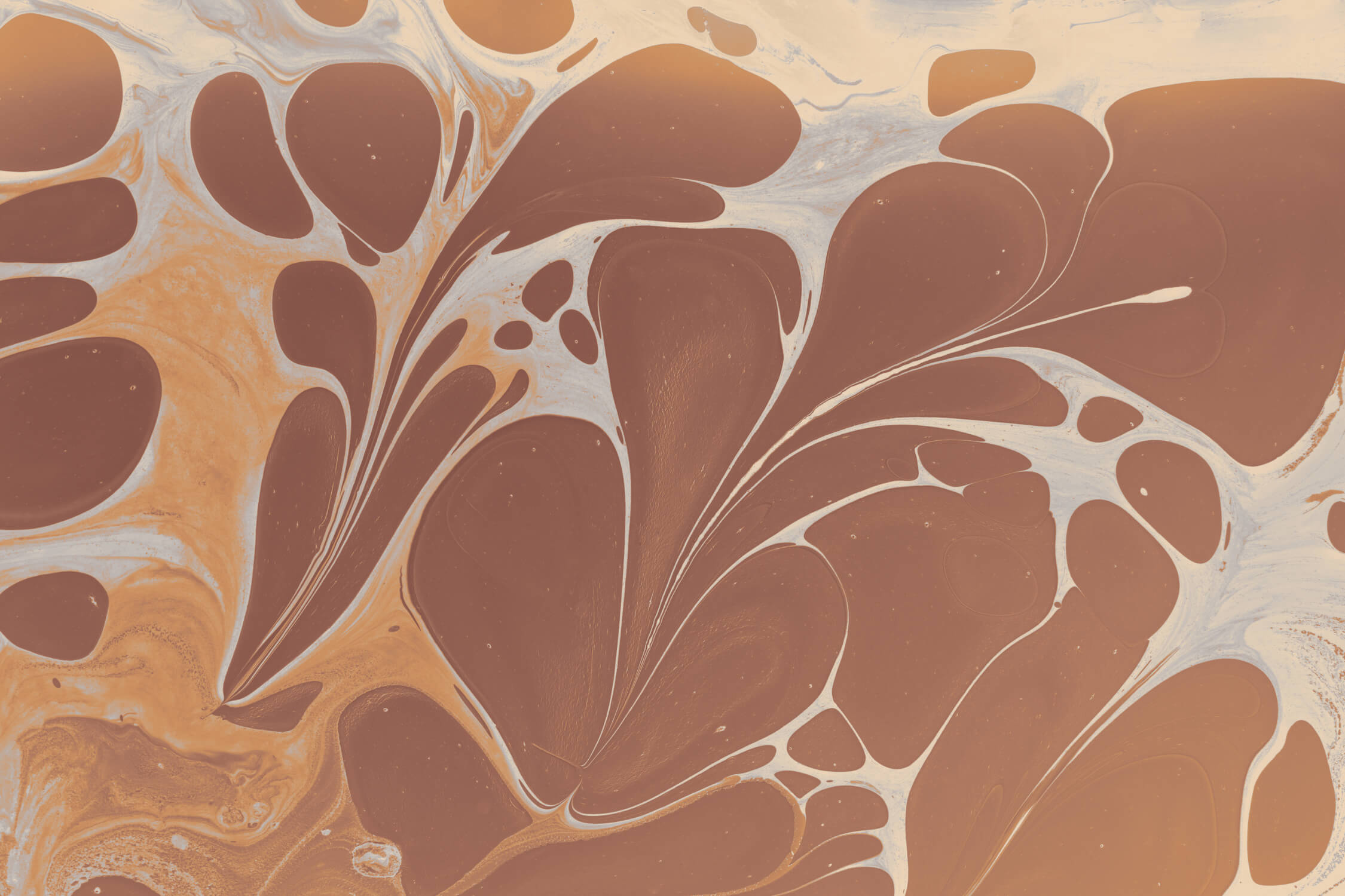 Art Deco Terracotta Wallpaper | Murals Wallpaper
