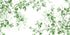 Nature Green Wallpaper | Murals Wallpaper