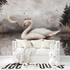 Princess Swan Pink Gray Wallpaper | Murals Wallpaper