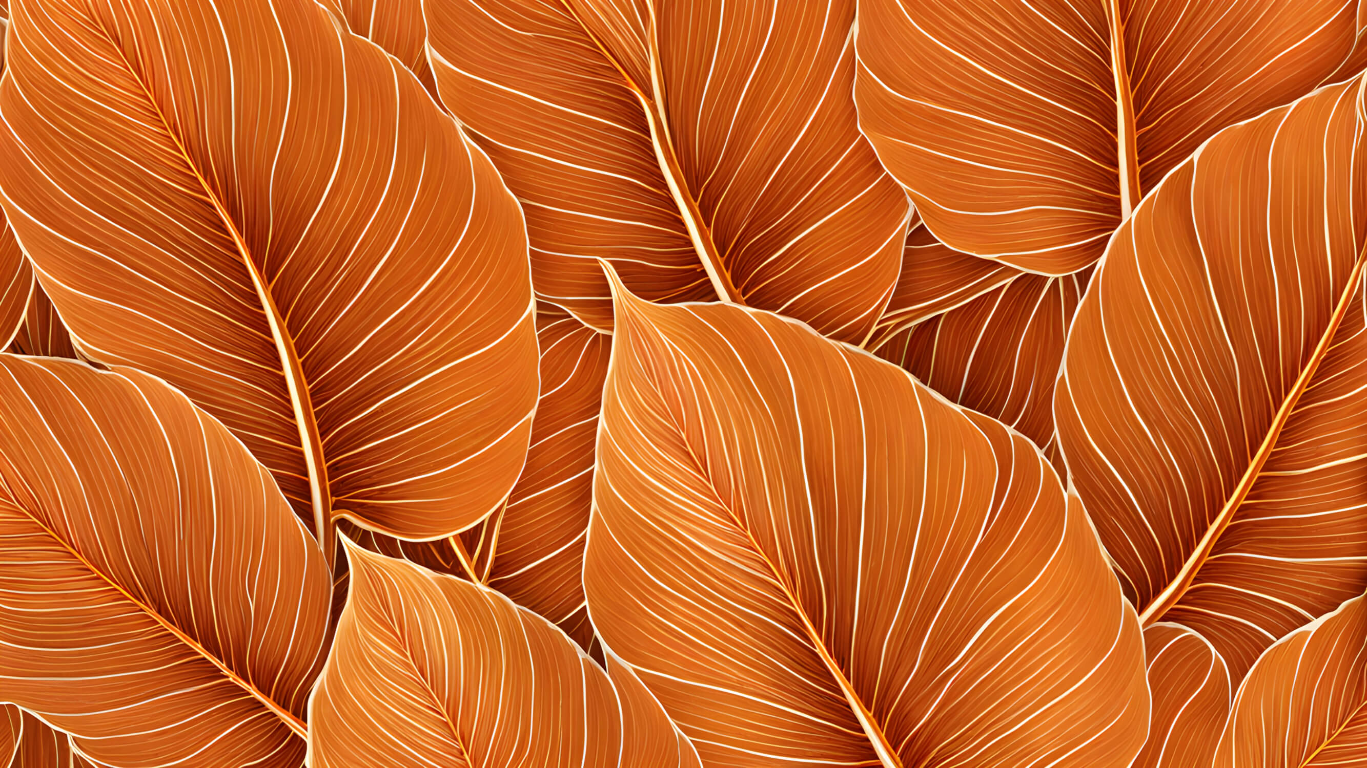 Orange Banana Wallpaper | Murals Wallpaper