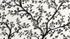 Black Tree Wallpaper Baroque Style | Murals Wallpaper