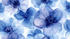 Majestic Blue Floral Watercolor Wallpaper | Murals Wallpaper