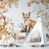 Fox Wallpaper Baby Room | Murals Wallpaper
