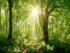 Sunny Forest Mural Wallpaper