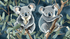 Koala Wallpaper Perched at the Top of a Tree | Murals Wallpaper