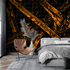 Black and Orange Wallpaper | Murals Wallpaper